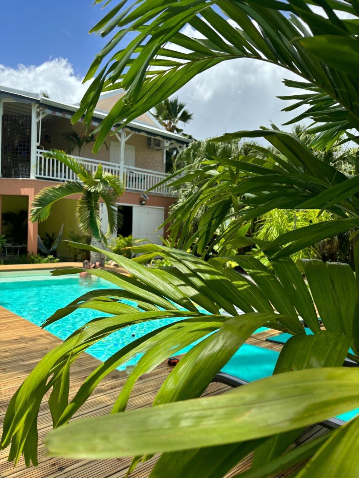 Le Petit Havre Tropical Guadeloupe, Gite, Massages & Spa Saint-Francois  Dış mekan fotoğraf