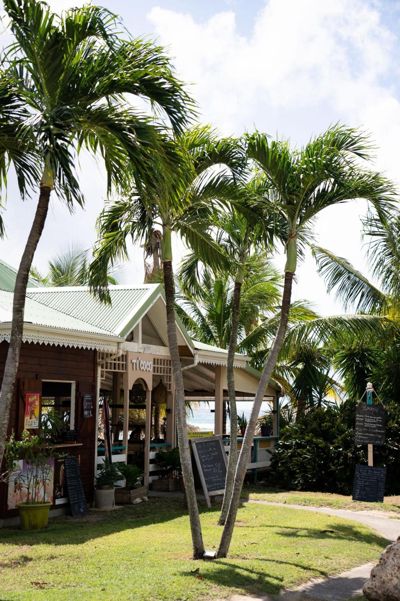 Le Petit Havre Tropical Guadeloupe, Gite, Massages & Spa Saint-Francois  Dış mekan fotoğraf