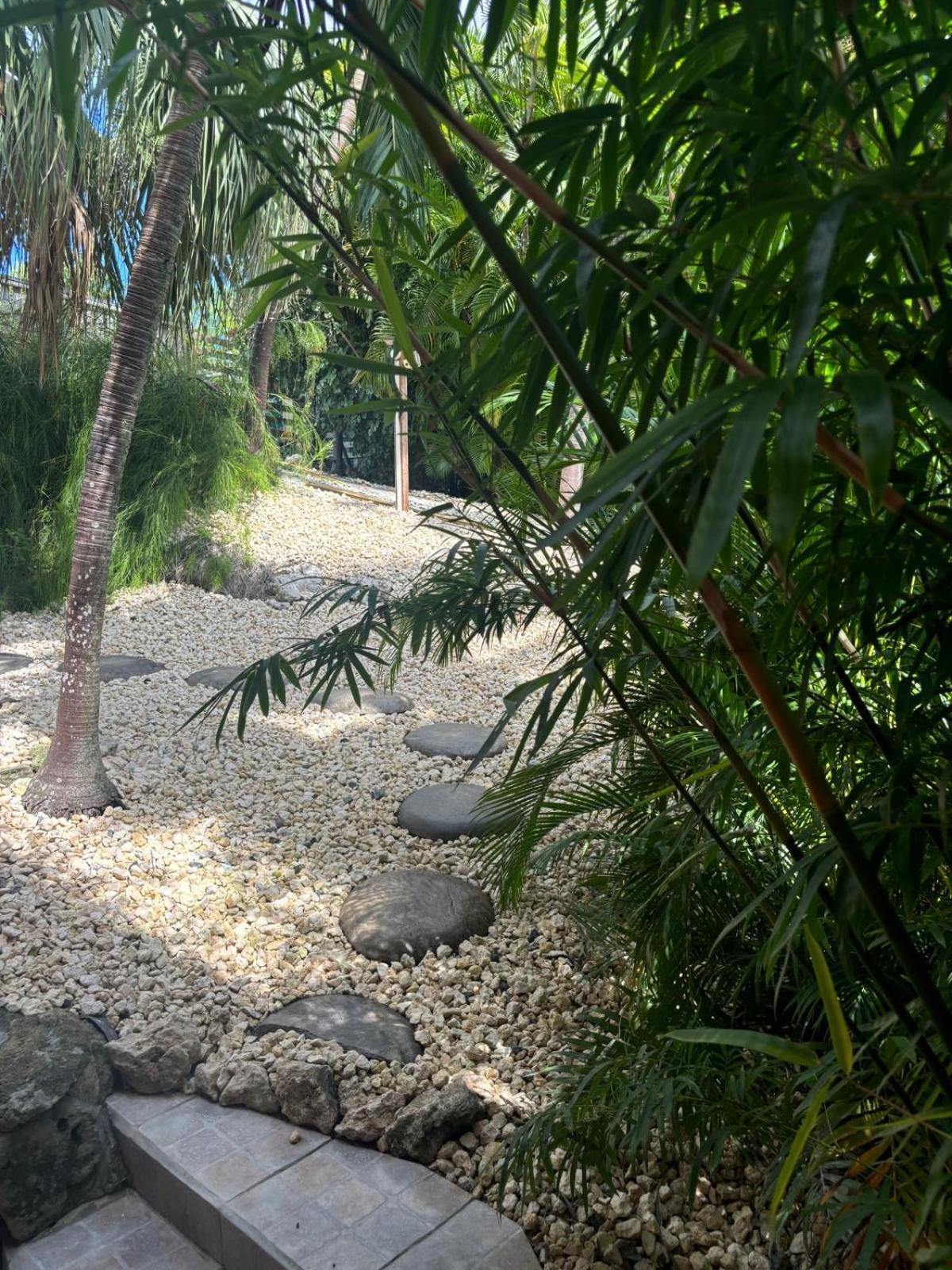 Le Petit Havre Tropical Guadeloupe, Gite, Massages & Spa Saint-Francois  Dış mekan fotoğraf